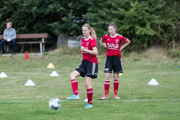 Bild 46 - Frauen SG NieBar - HSV 2 : Ergebnis: 4:3